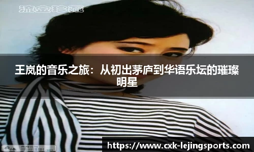 王岚的音乐之旅：从初出茅庐到华语乐坛的璀璨明星